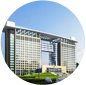 政府